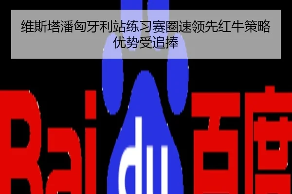 维斯塔潘匈牙利站练习赛圈速领先红牛策略优势受追捧